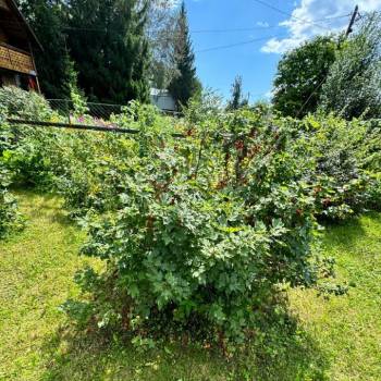 Продается Дом, 59,3 м²