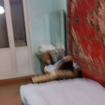 Продается 3-х комнатная квартира, 59,3 м²