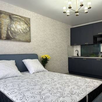 Сдается 1-комнатная квартира, 25,3 м²