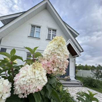 Сдается Дом, 109 м²