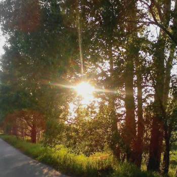 Продается Участок, 1000 м²