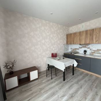 Сдается 1-комнатная квартира, 25,7 м²