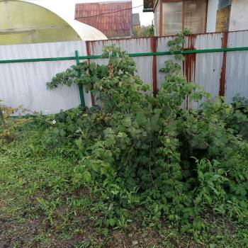 Продается Дом, 40 м²