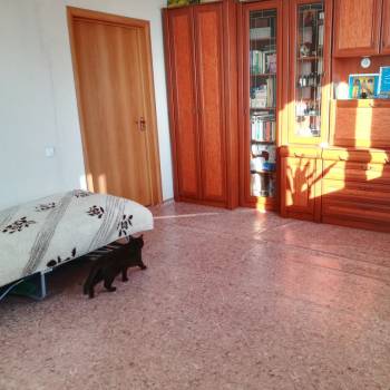 Сдается 2-х комнатная квартира, 60 м²