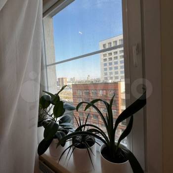 Сдается 2-х комнатная квартира, 56 м²