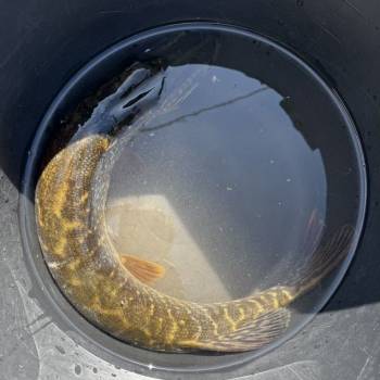 Продается Дом, 48 м²