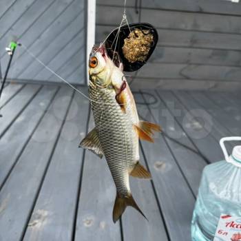 Продается Дом, 48 м²