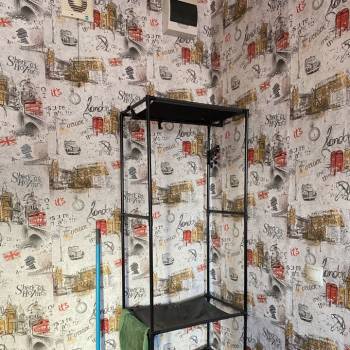 Сдается Комната, 17 м²