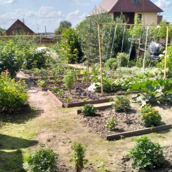 Продается Участок, 467 м²