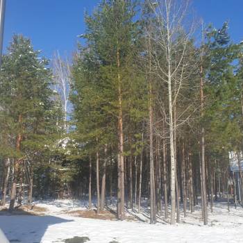 Продается Дом, 214 м²