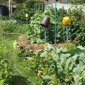 Продается Дом, 50 м²