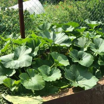 Продается Дом, 50 м²