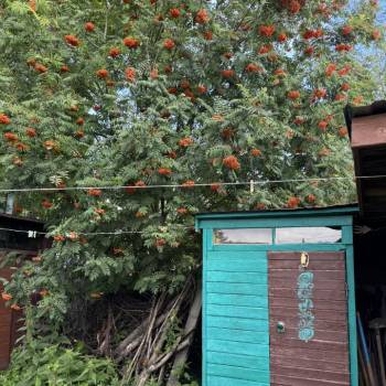 Продается Дом, 49 м²