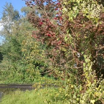 Продается Участок, 300 м²