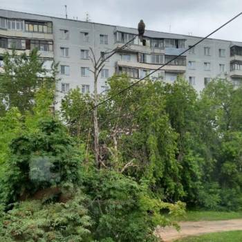 Продается 2-х комнатная квартира, 49,7 м²