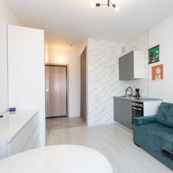Продается 1-комнатная квартира, 24,3 м²