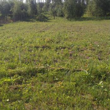 Продается Участок, 1900 м²