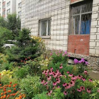 Сдается 1-комнатная квартира, 28 м²