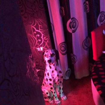 Сдается 1-комнатная квартира, 65 м²