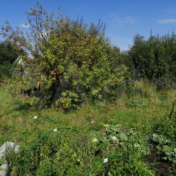 Продается Участок, 900 м²