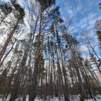 Продается Дом, 116 м²