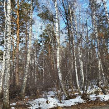 Продается Дом, 116 м²