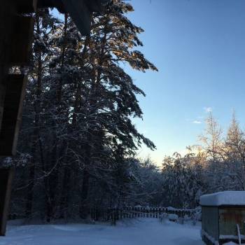 Сдается Дом, 40 м²