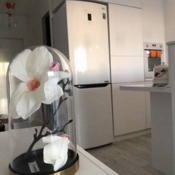 Продается 1-комнатная квартира, 20,8 м²