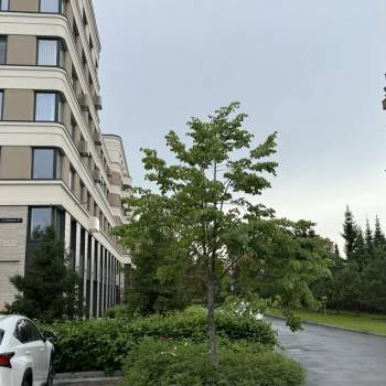 Продается 2-х комнатная квартира, 52 м²