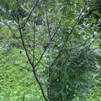 Продается Участок, 650 м²