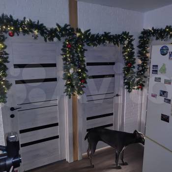 Продается 3-х комнатная квартира, 64 м²