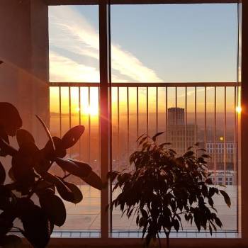 Сдается Многокомнатная квартира, 91 м²