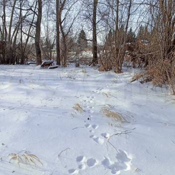 Продается Участок, 1200 м²