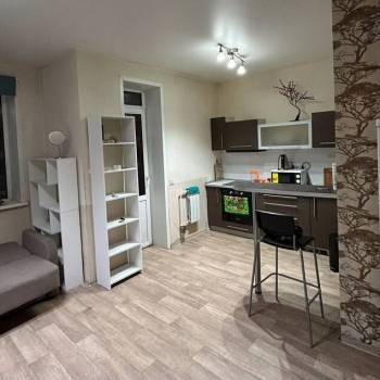 Сдается 1-комнатная квартира, 31 м²