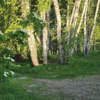 Продается Участок, 600 м²