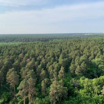 Сдается 2-х комнатная квартира, 61 м²