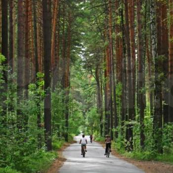 Продается Участок, 1000 м²