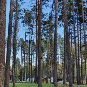 Продается Участок, 1200 м²