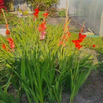 Продается Дом, 48 м²