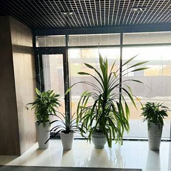 Продается 1-комнатная квартира, 23 м²