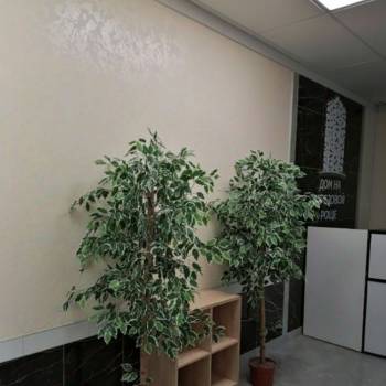 Сдается 1-комнатная квартира, 24,2 м²