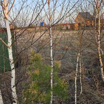 Продается Участок, 1000 м²