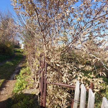 Продается Участок, 380 м²