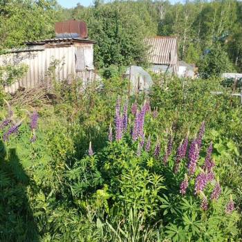 Продается Участок, 380 м²