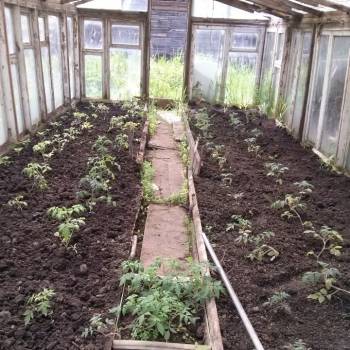 Продается Дом, 56 м²