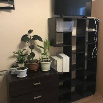 Сдается 1-комнатная квартира, 23 м²