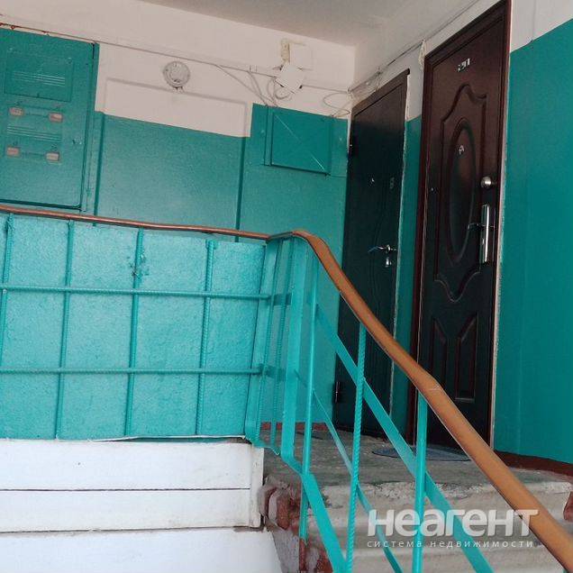 Фотография №2