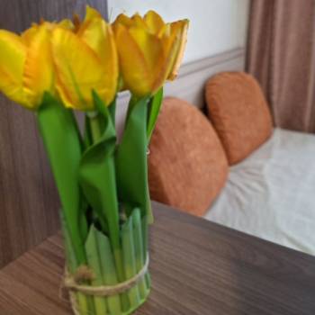 Сдается 2-х комнатная квартира, 41 м²