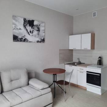 Сдается 1-комнатная квартира, 27 м²