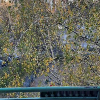 Сдается Комната, 14 м²